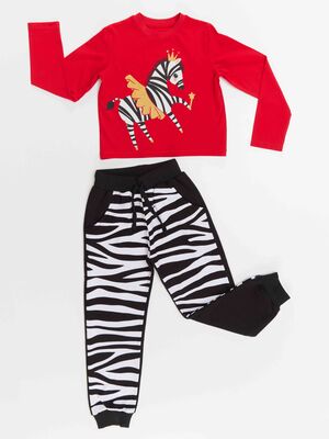 Balerina Zebra Girl T-shirt&Pants Set