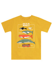 Big Whales Erkek Çocuk T-shirt Kapri Takım - Thumbnail