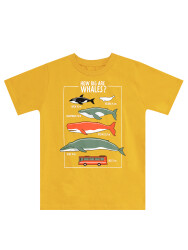 Big Whales Erkek Çocuk Yazlık T-shirt Kapri Takım - 5