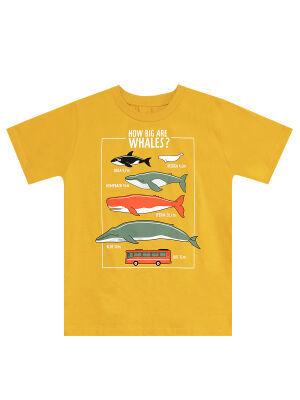 Big Whales Erkek Çocuk Yazlık T-shirt Kapri Takım - 5