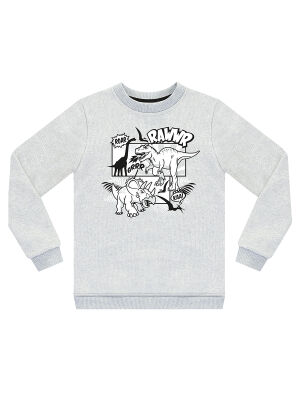 Cartoon Dino Boy Grey Sweatshirt - 3