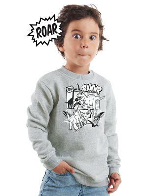 Cartoon Dino Boy Grey Sweatshirt - 1