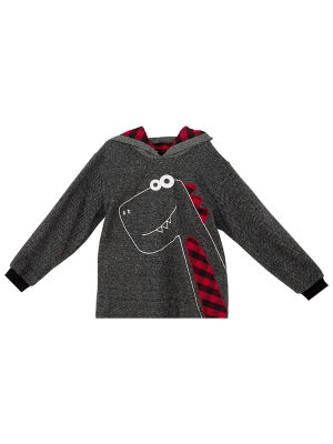 Checked Dino Boy Anthracite Hoodie - 3