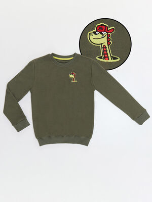 Dino Erkek Çocuk Haki Sweatshirt - 3