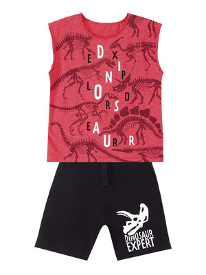 Dino Expert Boy T-shirt&Shorts Set