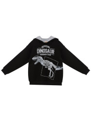 Dino Research Boy Black Sweatshirt - 3