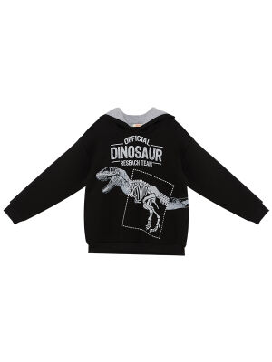 Dino Research Erkek Çocuk Sweatshirt - 3