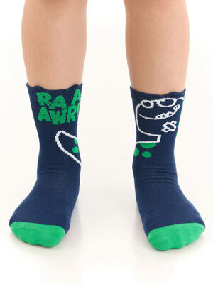 Dino Spikes Boy Socks Set