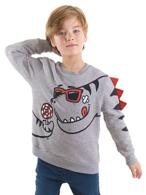 Dino&Candy Grey Boy Sweatshirt - 1