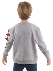 Dino&Candy Grey Boy Sweatshirt - 2