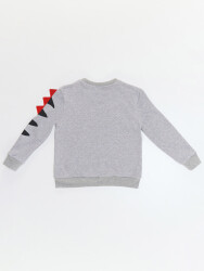 Dino&Candy Grey Boy Sweatshirt - 4