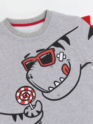 Dino&Candy Grey Boy Sweatshirt - 5