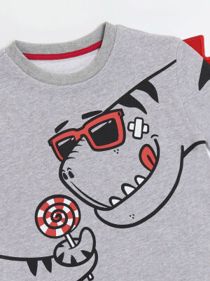 Dino&Candy Grey Boy Sweatshirt - 5