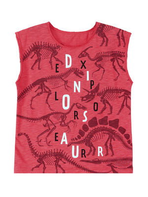 Dinosaur Expert Erkek Çocuk T-shirt Şort Takım