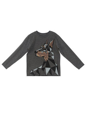 Doberman Erkek Çocuk T-shirt Eşofman Altı Takım - 5