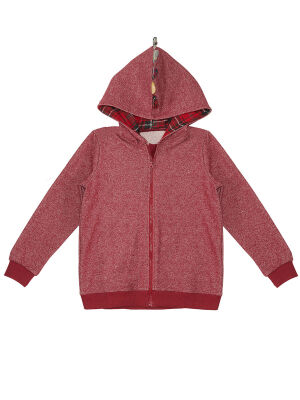 Dragon Boy Burgundy Hoodie - 3