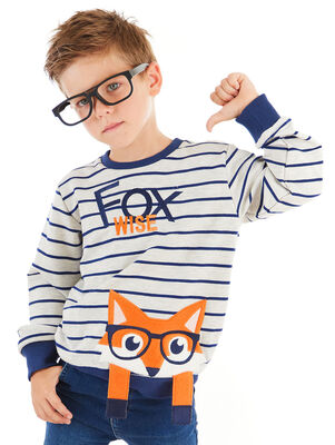 Fox Striped Boy Sweatshirt