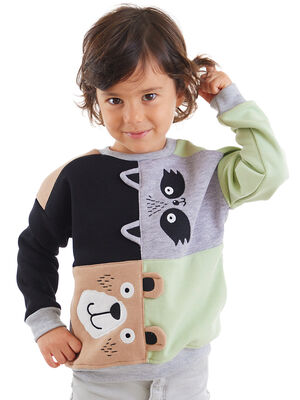 Raccoon&Bear Boy Color Block Sweatshirt