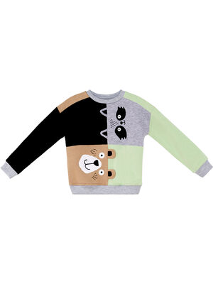 Raccoon&Bear Boy Color Block Sweatshirt