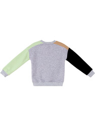Raccoon&Bear Boy Color Block Sweatshirt - Thumbnail