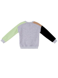 Raccoon&Bear Boy Color Block Sweatshirt - 4