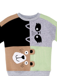 Raccoon&Bear Boy Color Block Sweatshirt - 5