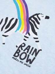 Rainbow Zebra Kız Çocuk T-shirt Tayt Takım - 5