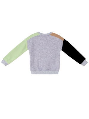 Rakun Ve Ayı Erkek Çocuk Renkli Sweatshirt - 4