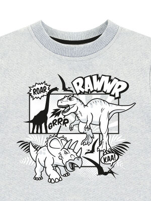 Rawr Dino Erkek Çocuk Gri Melanj Sweatshirt - 5