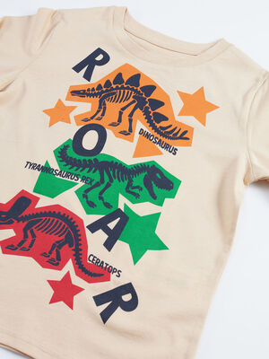 Renkli Dinolar Erkek Çocuk T-shirt Pantolon Takım