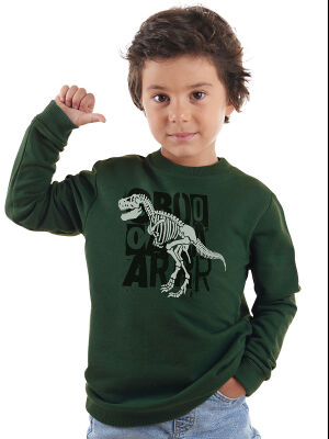 Roarr Dino Erkek Çocuk Haki Sweatshirt - 1