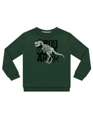 Roarr Dino Erkek Çocuk Haki Sweatshirt - 3