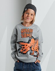 RoarSome Grey Boy Sweatshirt - 1