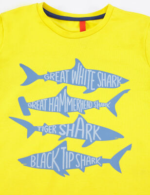 Sharks Erkek Çocuk T-shirt Şort Takım - 5