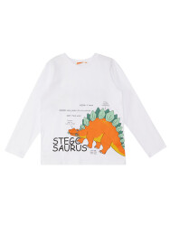 Stegosaurus Erkek Çocuk Uzun Kollu T-shirt Pantolon Takım - 5