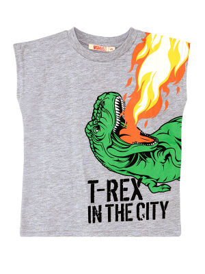 T-Rex Alev Erkek Çocuk Kolsuz Yazlık T-Shirt Şort Takım - 5