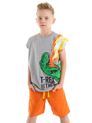 T-Rex Flame T-shirt&Shorts Set