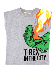 T-Rex Flame T-shirt&Shorts Set - 5