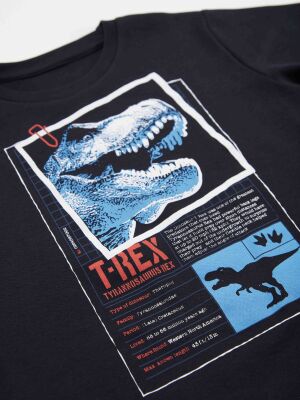 T-rex Info Erkek Çocuk T-shirt Kapri Şort Takım - 5