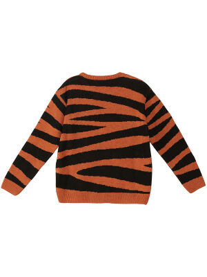 Tiger Boy Brown Knit Pullover Sweater - 4