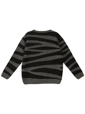 Tiger Boy Grey Knit Pullover Sweater