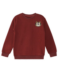 Tiger Boy Sweatshirt - Thumbnail