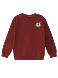 Tiger Boy Sweatshirt - 3