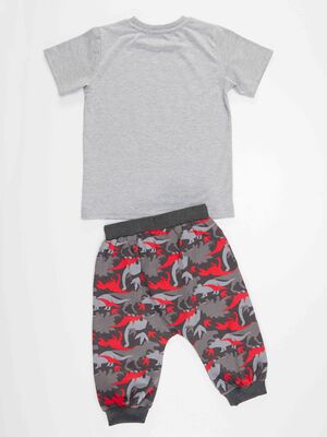 Triceratops Boy T-shirt&Harem Pants Set