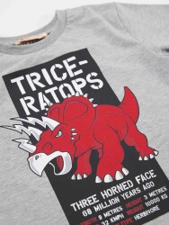 Triceratops Erkek Çocuk T-shirt Kapri Şort Takım - 5