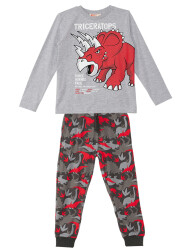 Triceratops Erkek Çocuk T-shirt Pantolon Takım - 3