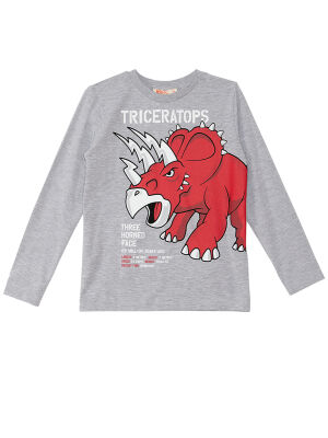 Triceratops Erkek Çocuk T-shirt Pantolon Takım - 5